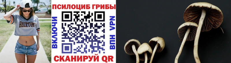 Галлюциногенные грибы Magic Shrooms Юрьевец